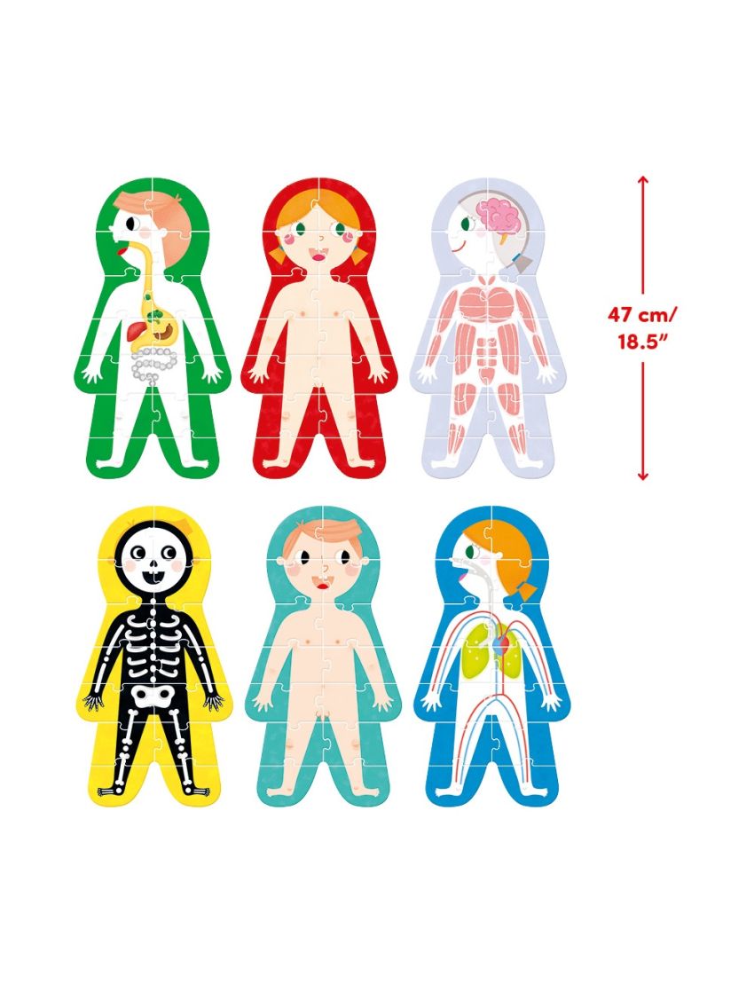 Banana Panda Puzzle My Body