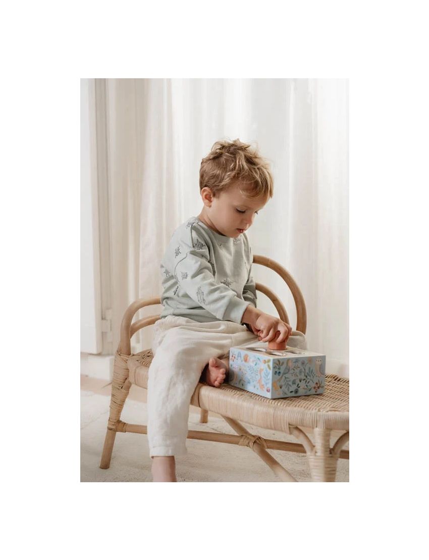 Caixa de Encaixe de Formas – Forest Friends