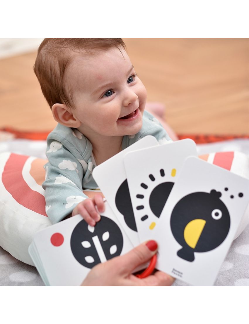 Banana Panda Flash Cards Alto Contraste