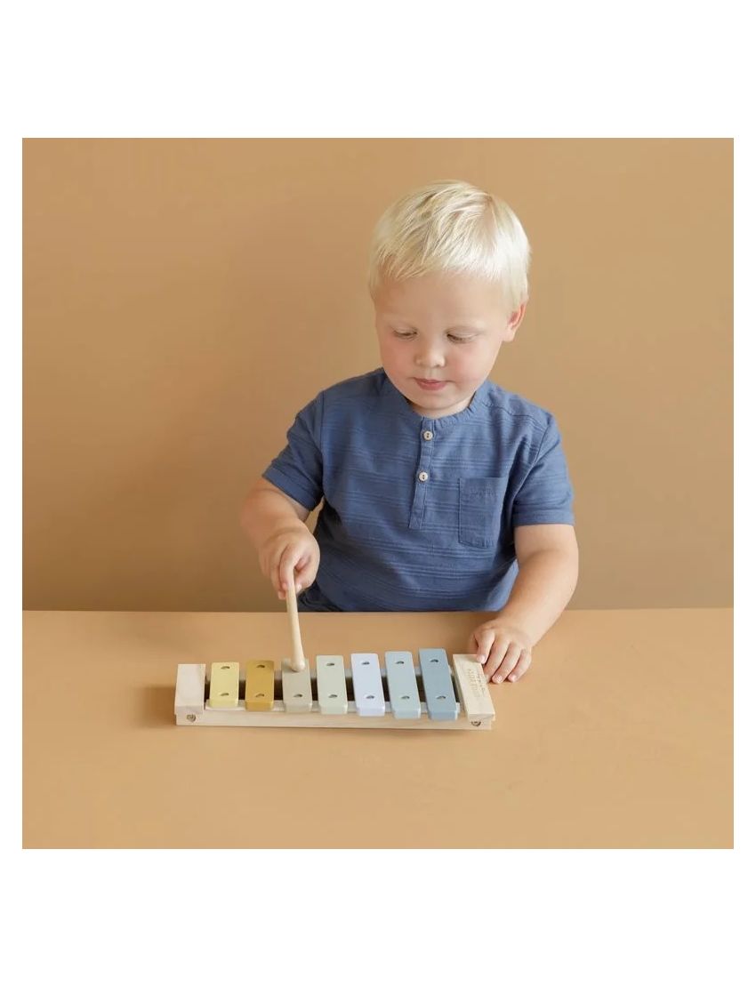 Xilofone em Madeira Little Dutch Azul