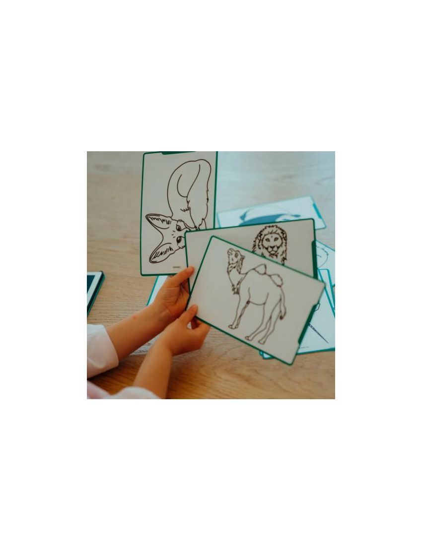 Kidywolf Kidydraw - Mini Tablet Animais do Mundo